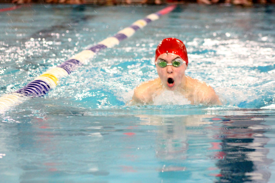 Swim team finishes successful at regional competition